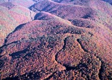 Papuk_7